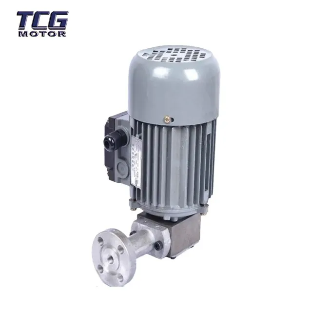 oil pump motor